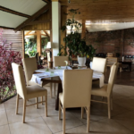 Cypress and Upholstered Chair